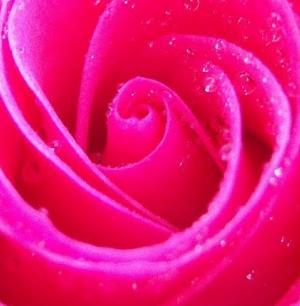 ARealPink Live Image