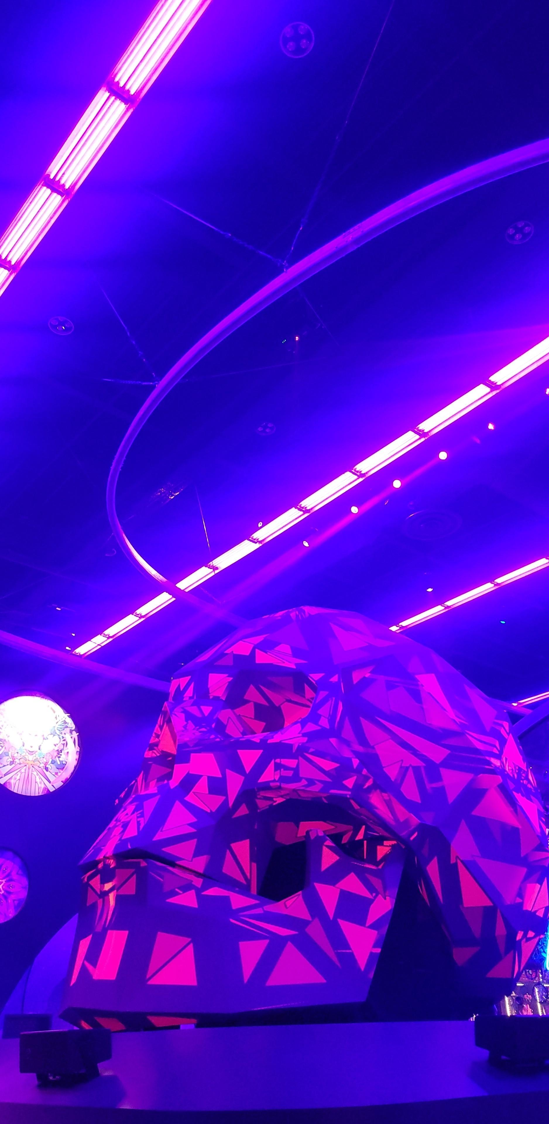 BeardedDoDoBird Live Image
