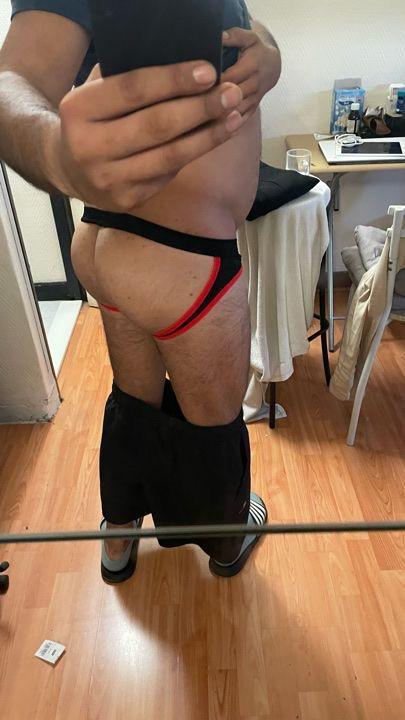 Beargaytr Live Image