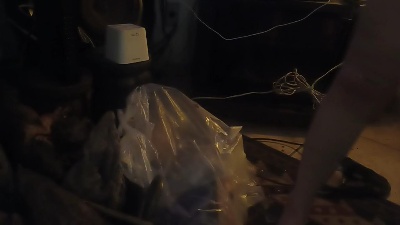 Casaldivertidoo Live Image