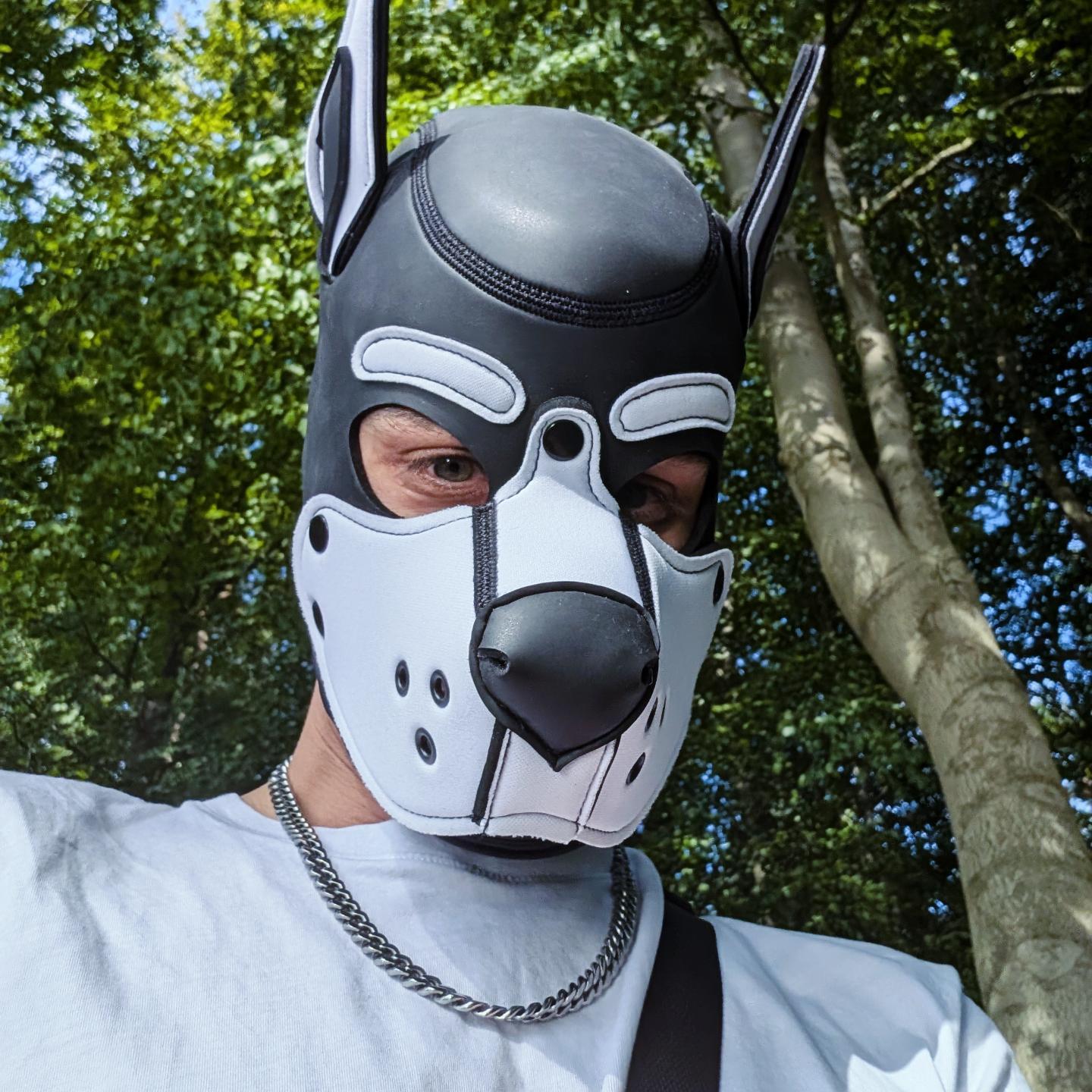 Casper_1988 Live Image