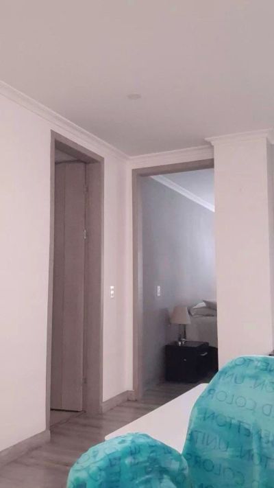 Cynthia94 Live Image