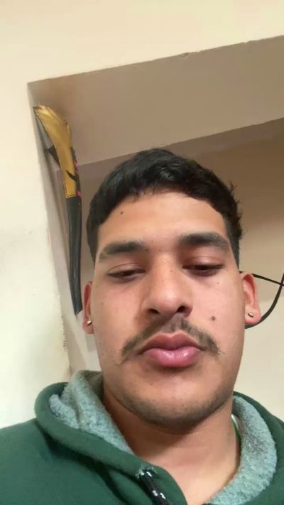 Delfisito Live Image
