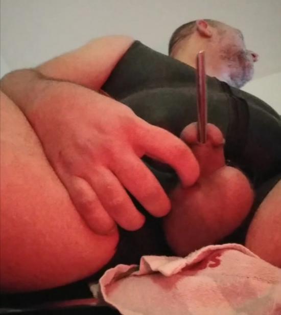 FFBearBerlin Live Image