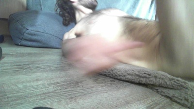 FlexibleDude Live Image