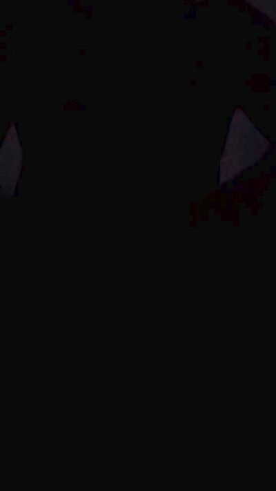Gatinho_spain Live Image
