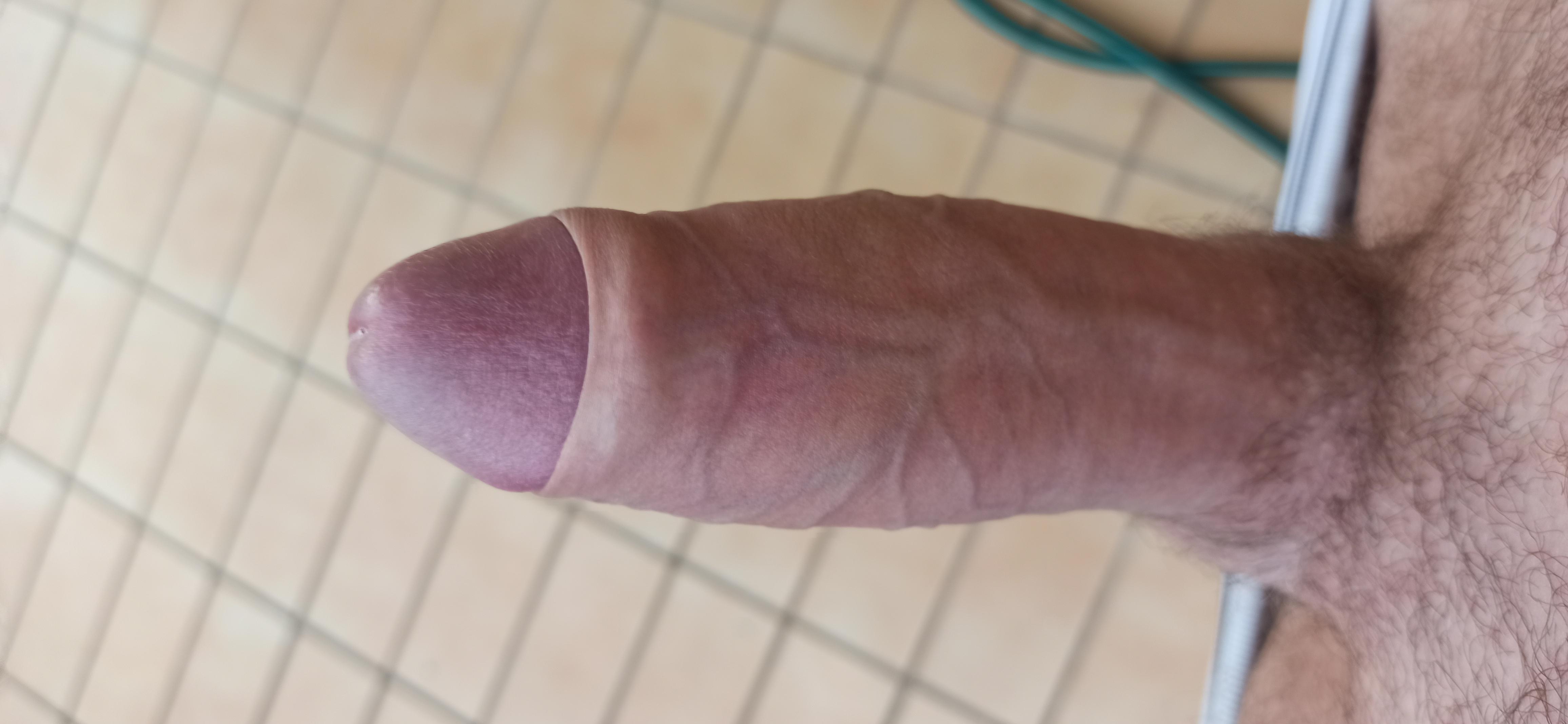 Hardissimo313 Live Image