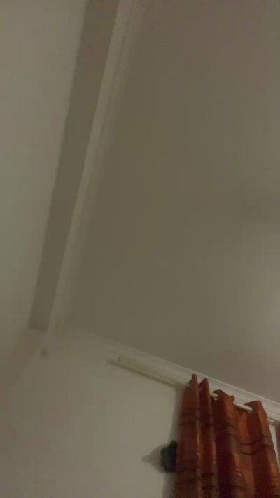 Janitorasta30 Live Image