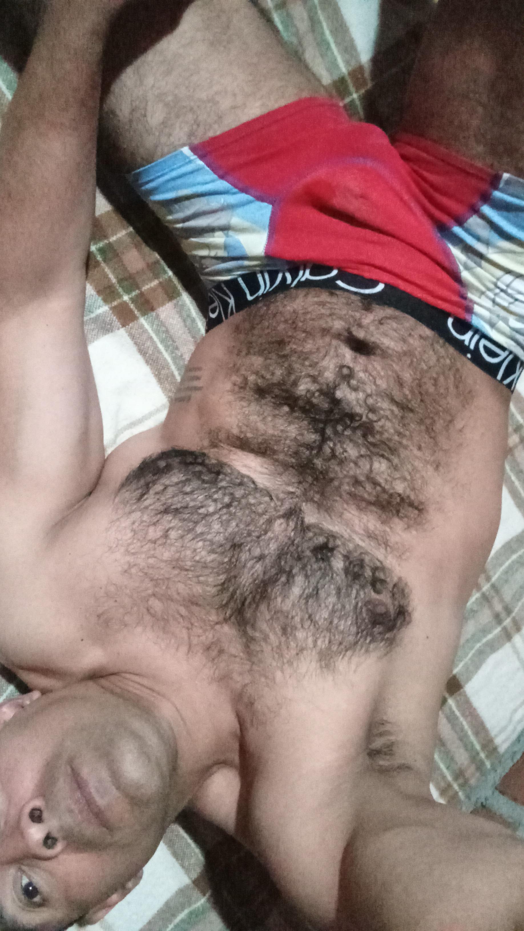 Lobogym39 Live Image