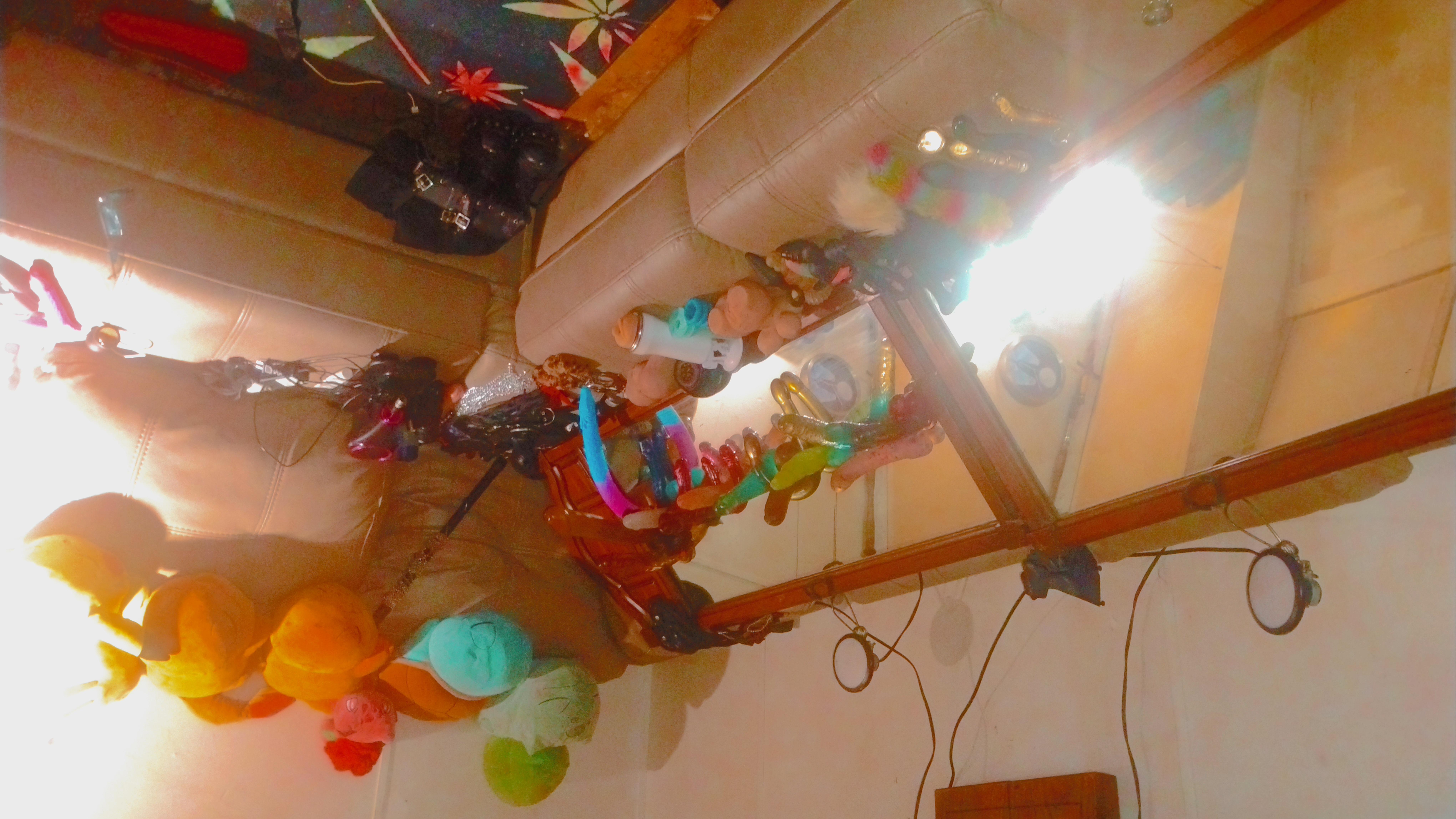 Luvmydik Live Image