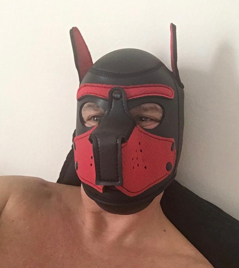 MaskPor2022 Live Image