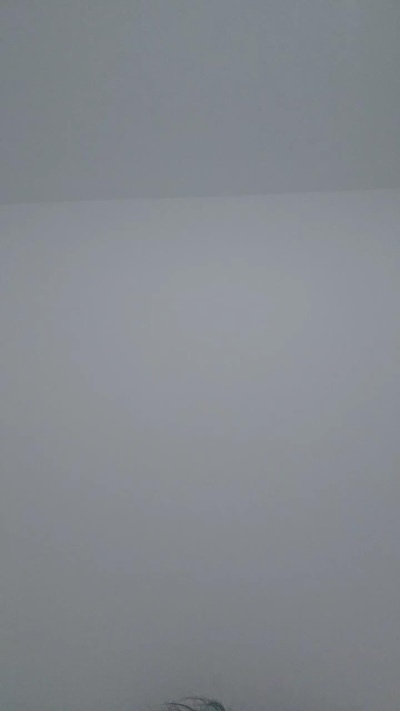 Mayakarter Live Image