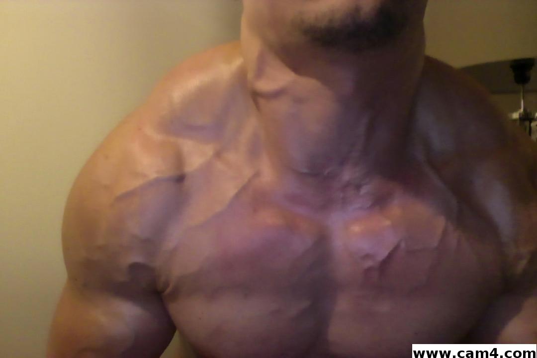 Quinny Live Image