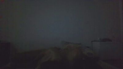 Rafafega Live Image