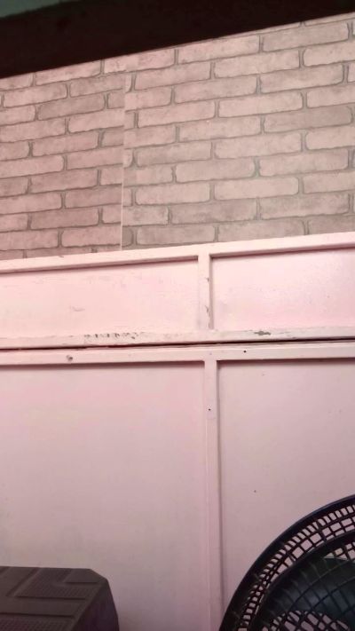 Raissa084 Live Image