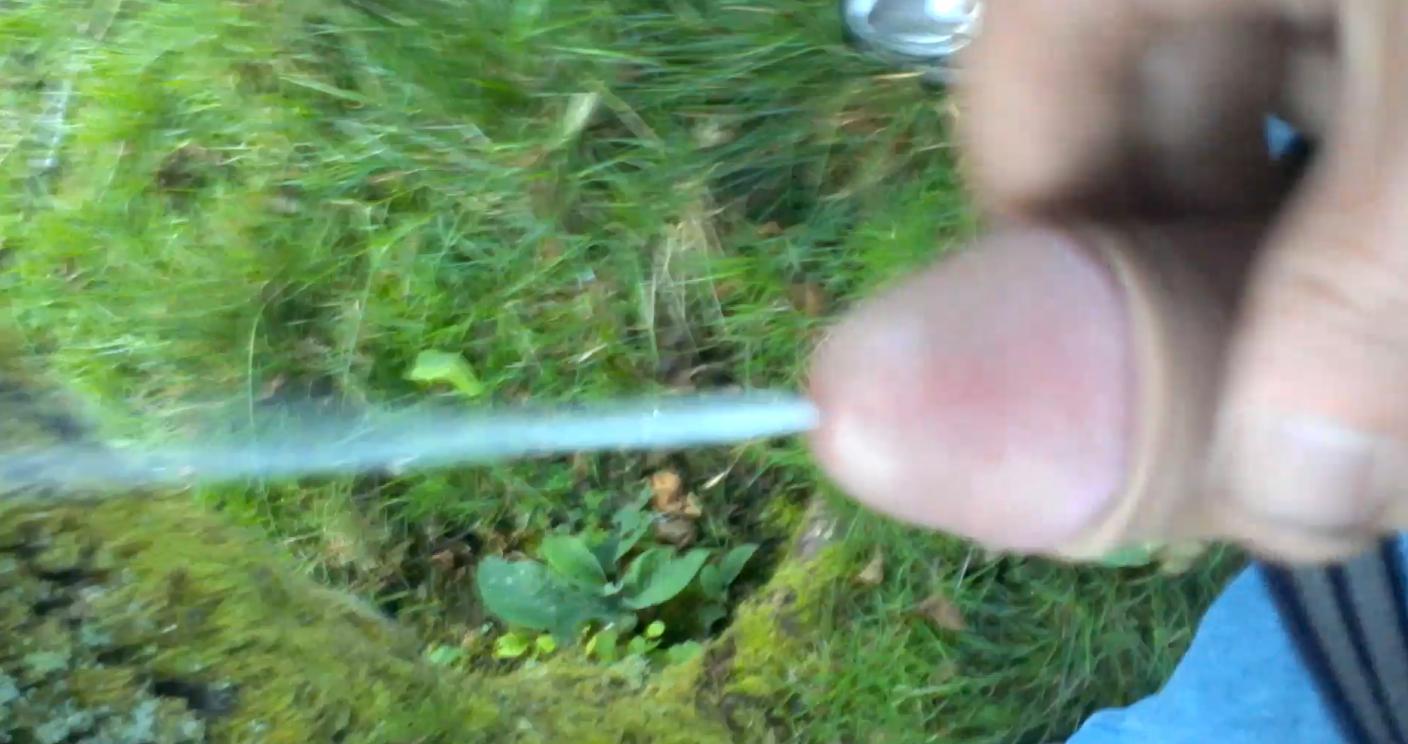 Silent_Prev Live Image