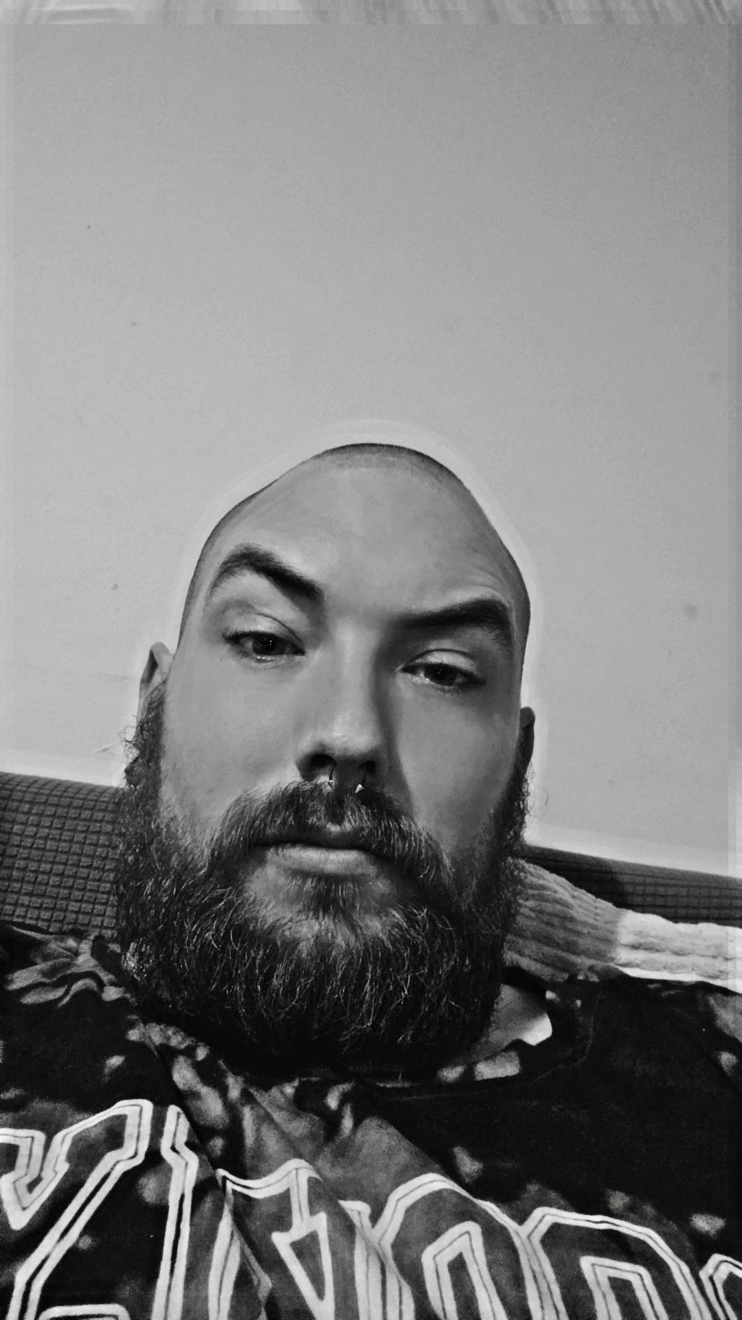Tedlord Live Image
