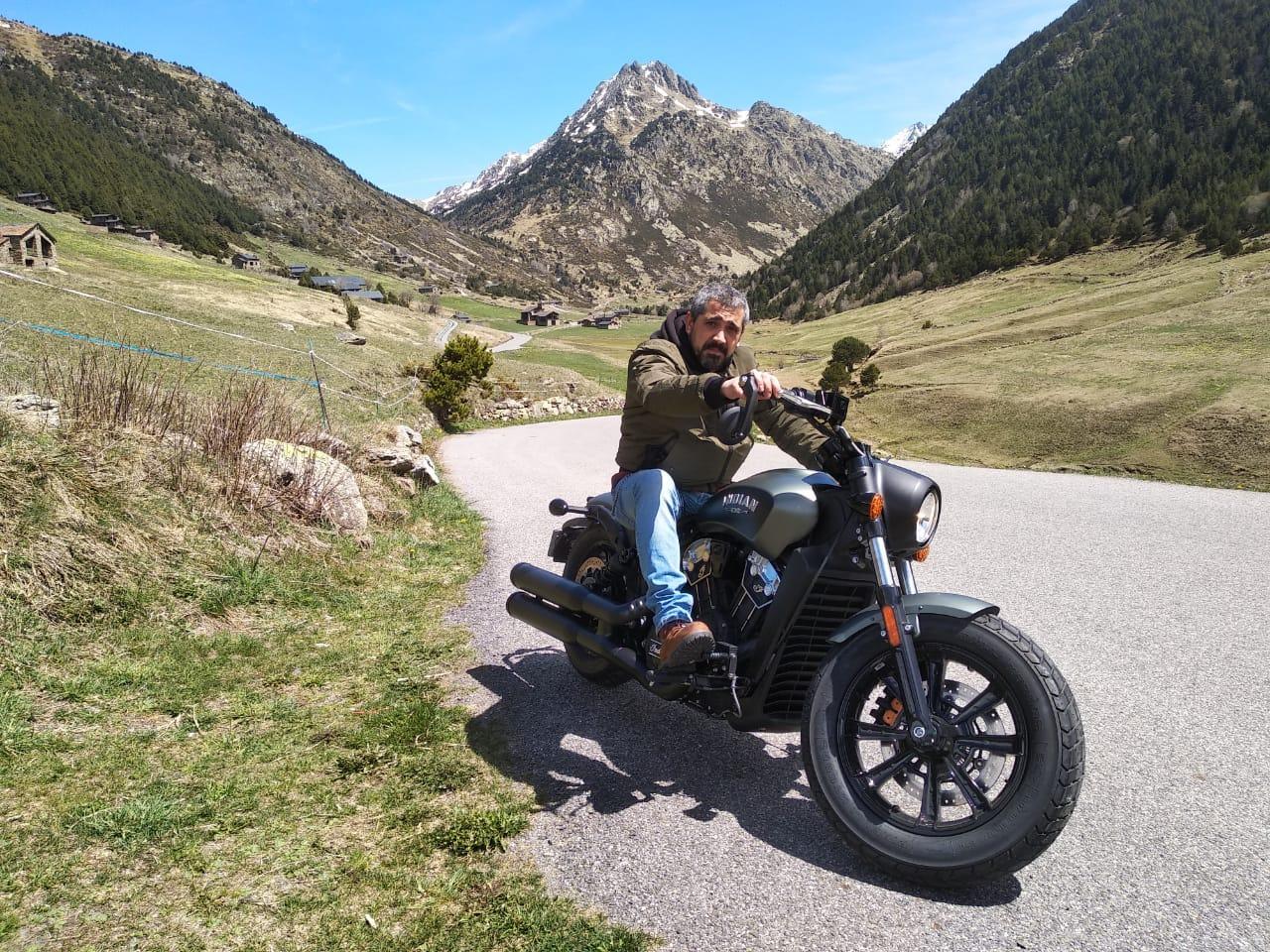 Trivalbobber Live Image