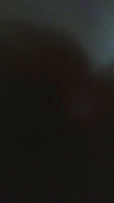 VioletaStill Live Image