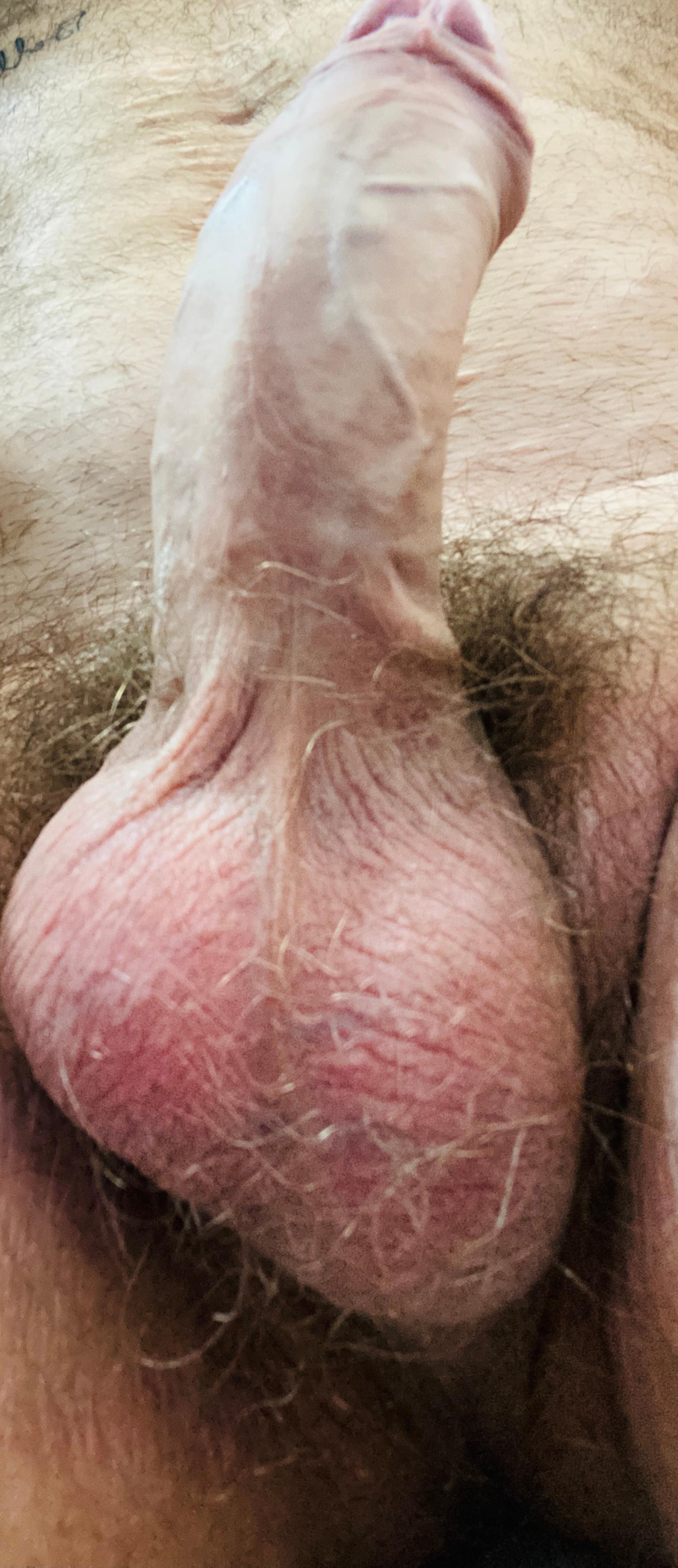 Voglia5x Live Image