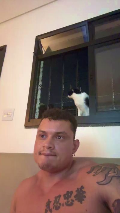 _Alegria_do_dia Live Image
