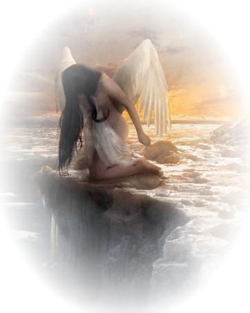 _PARADISE_ Live Image