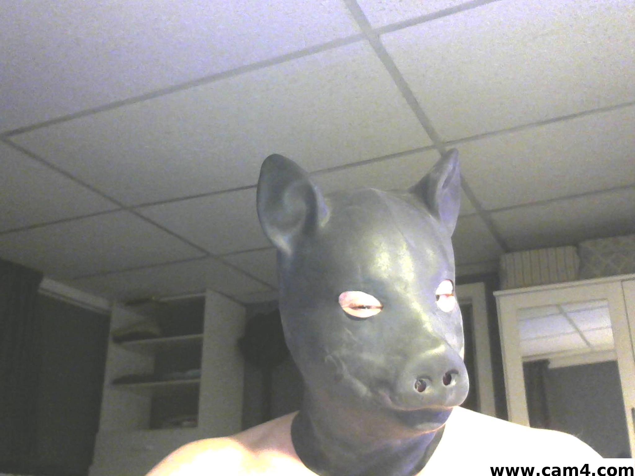 bandedinme Live Image