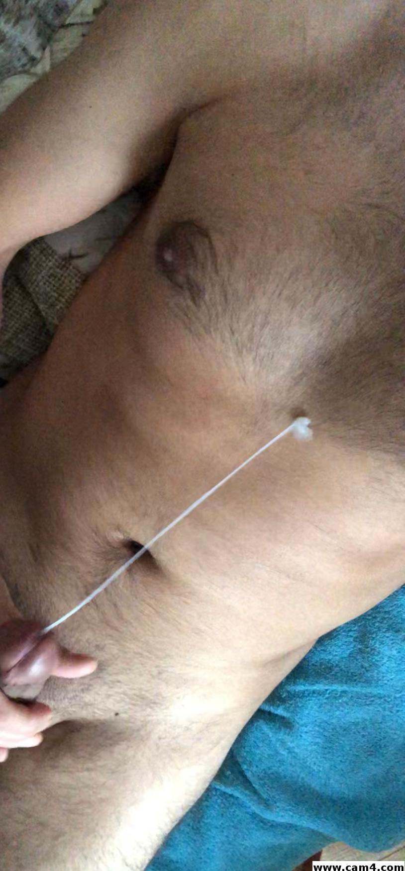 bigwilemm Live Image