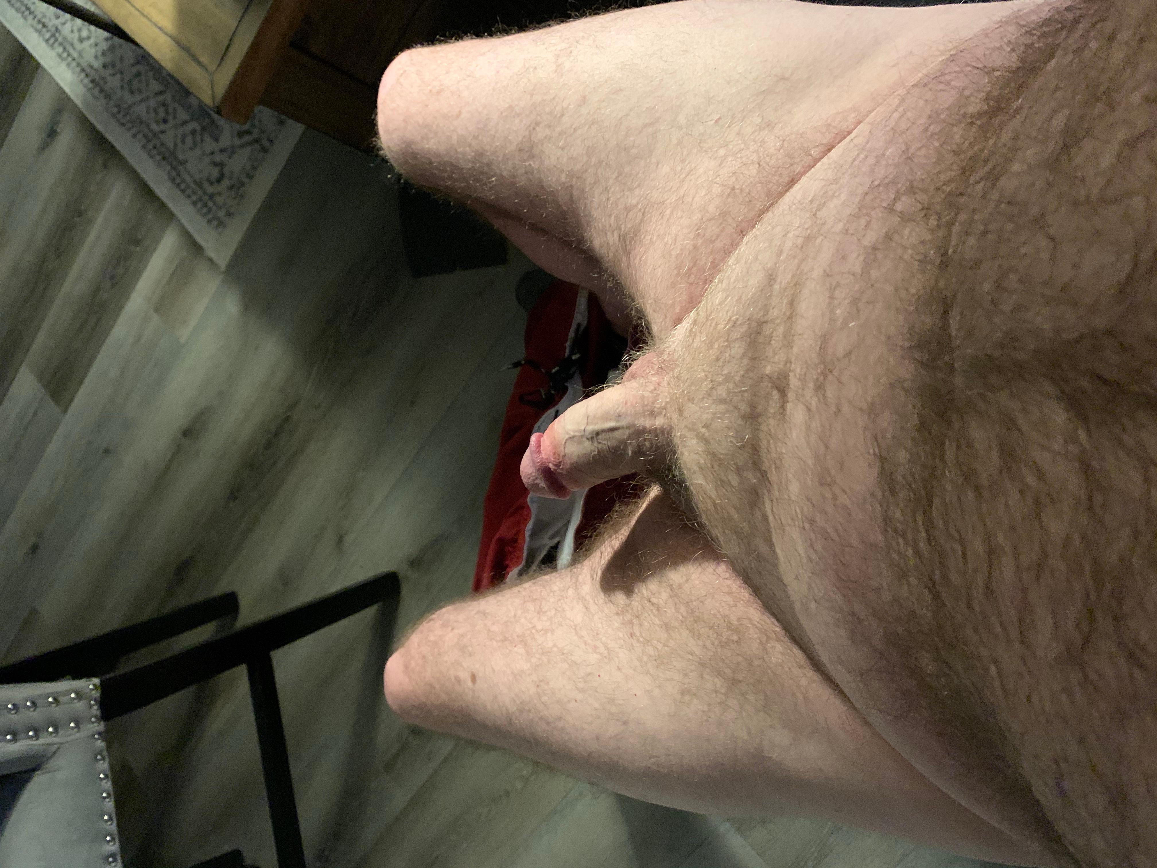 bilgp Live Image