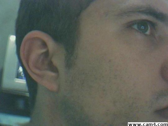 borcatto Live Image
