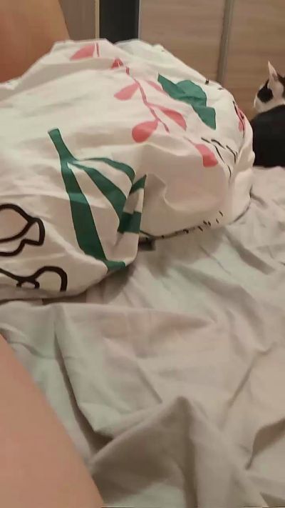 couplelive5 Live Image