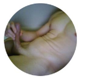 cpgcpg27 Live Image