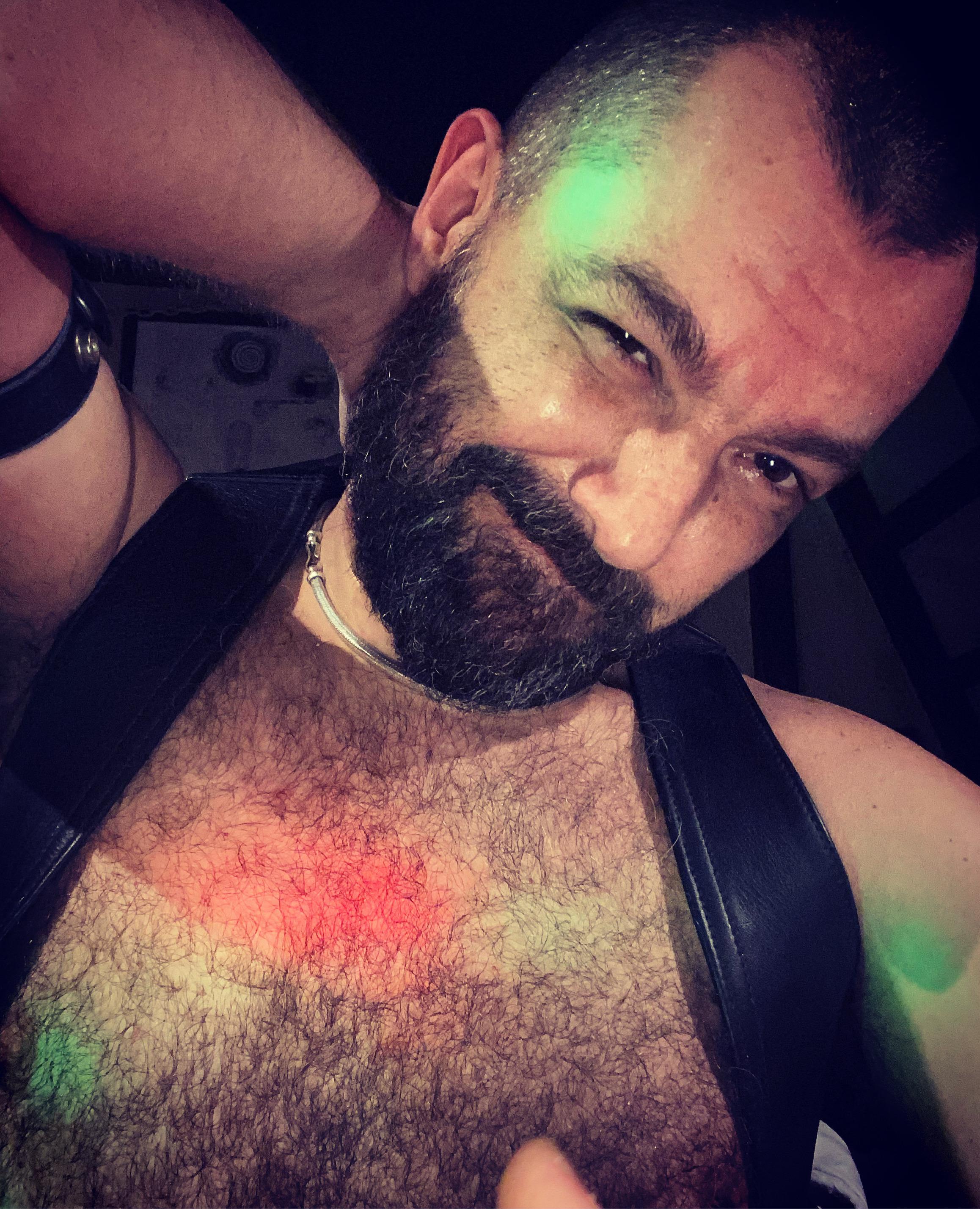 daddybearmadri5 Live Image