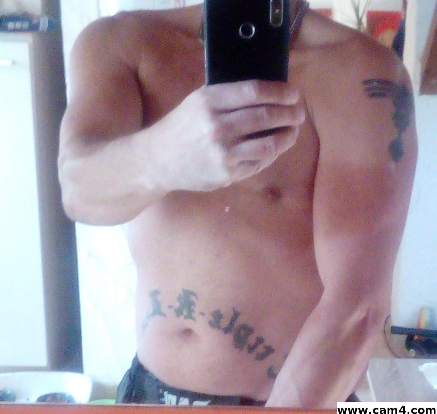 dombull1 Live Image