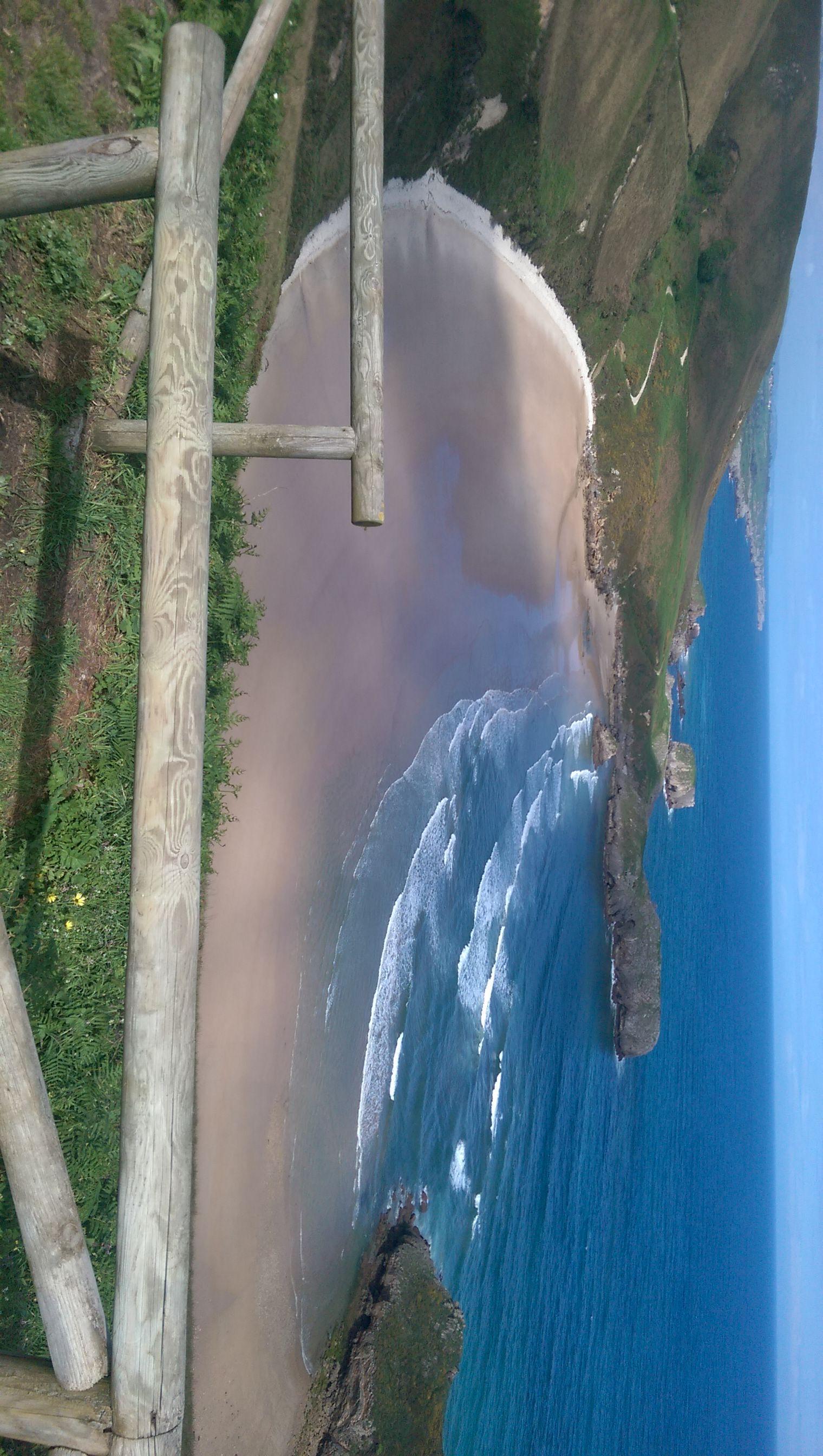eenalon Live Image