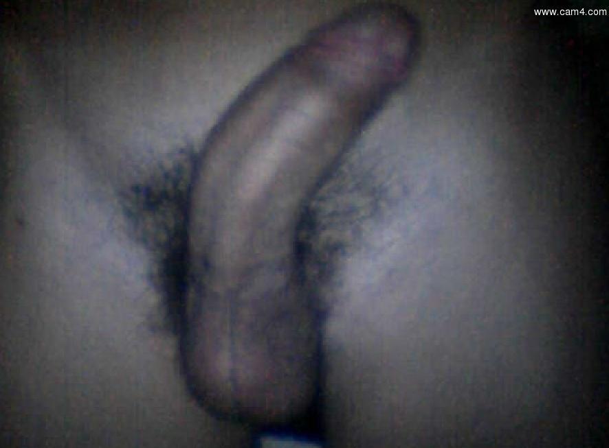 hoootbooy Live Image