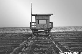 ijoao0 Live Image