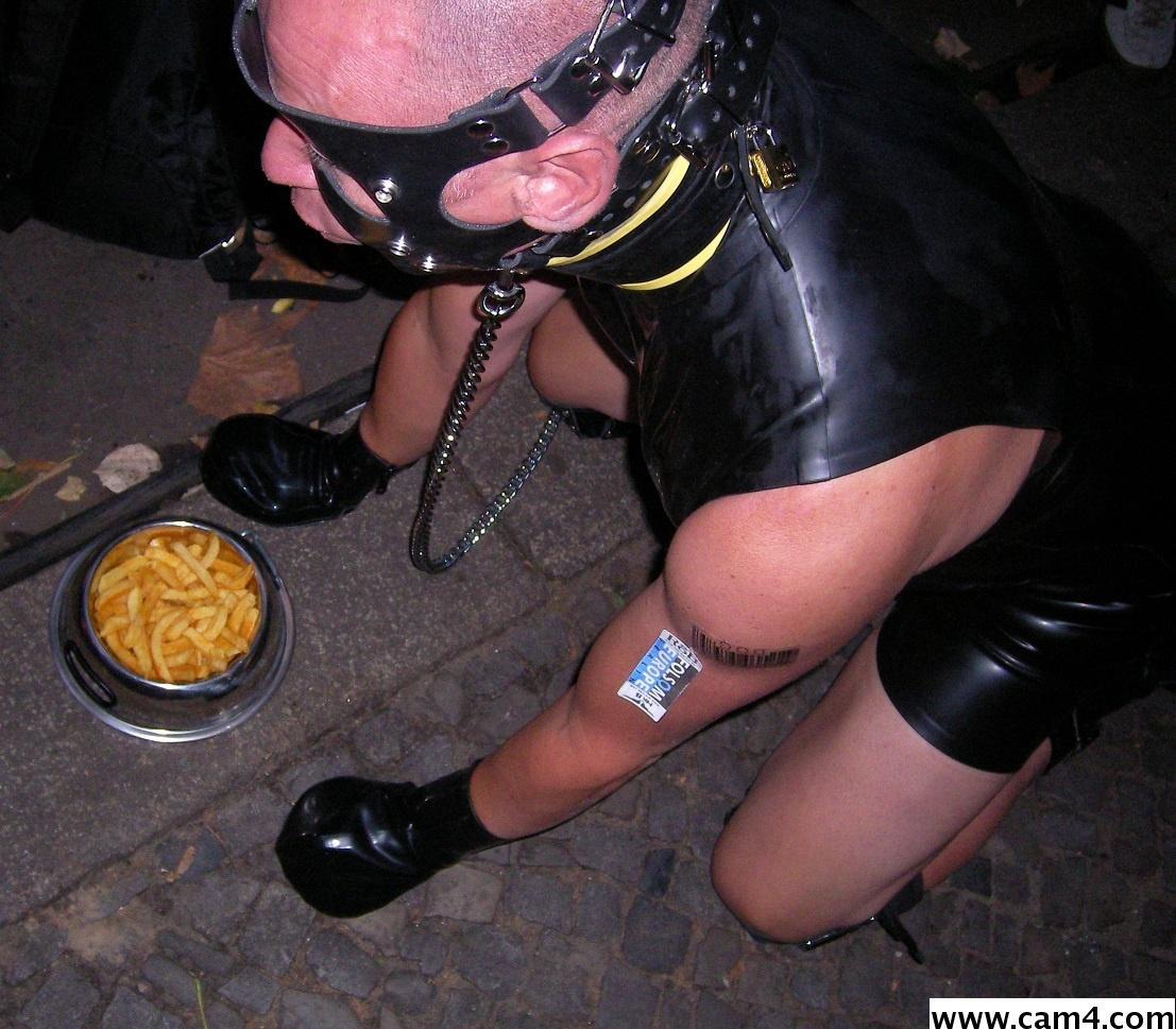 klausdog Live Image