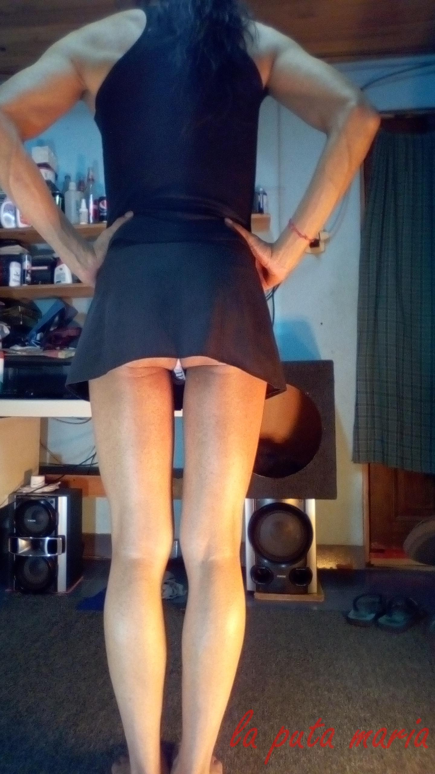 laPUTAdeCAM4 Live Image