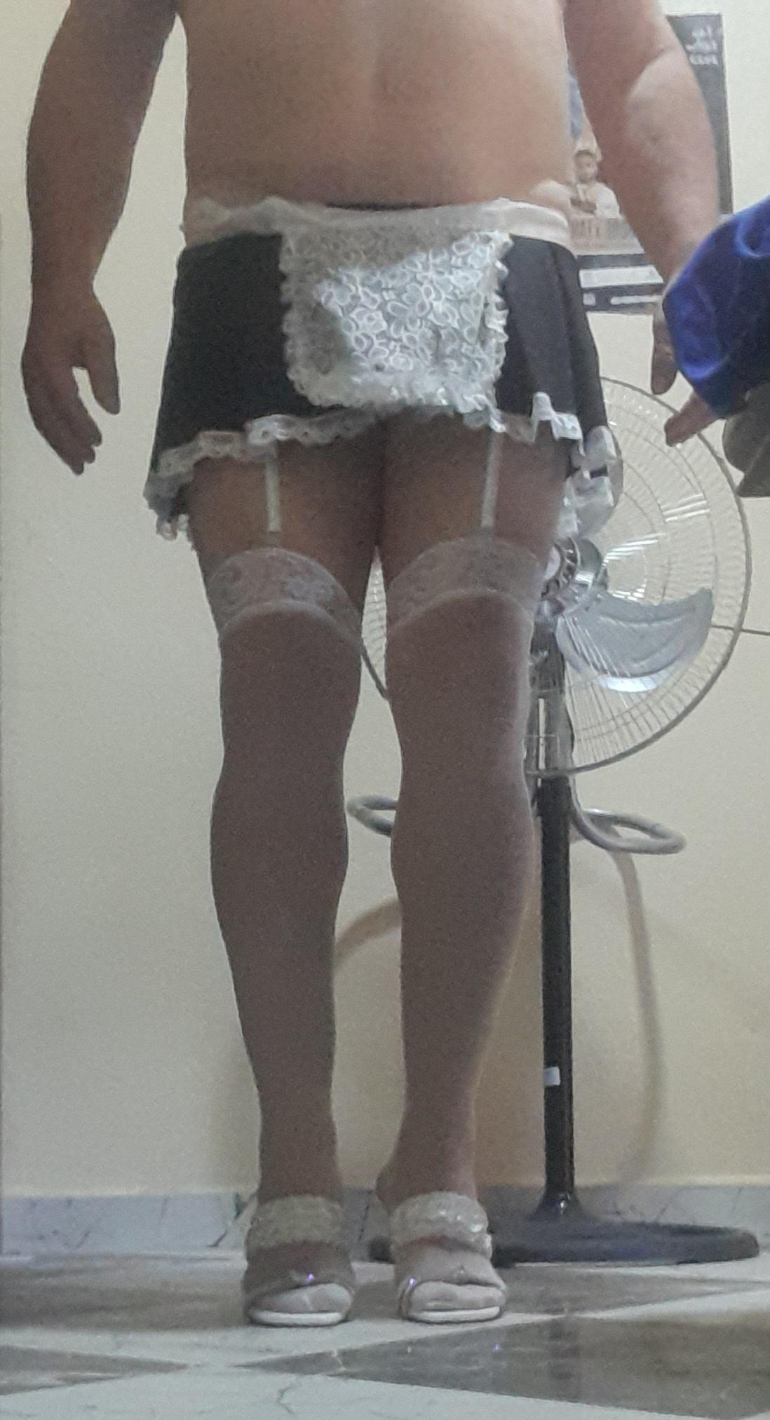 latortue2 Live Image
