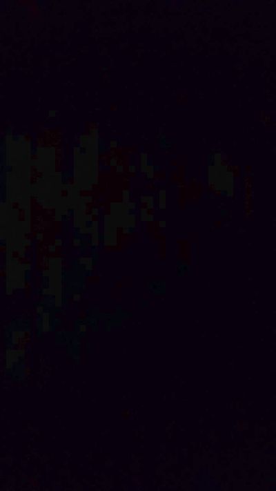 nerchiato Live Image
