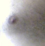 orsonek Live Image