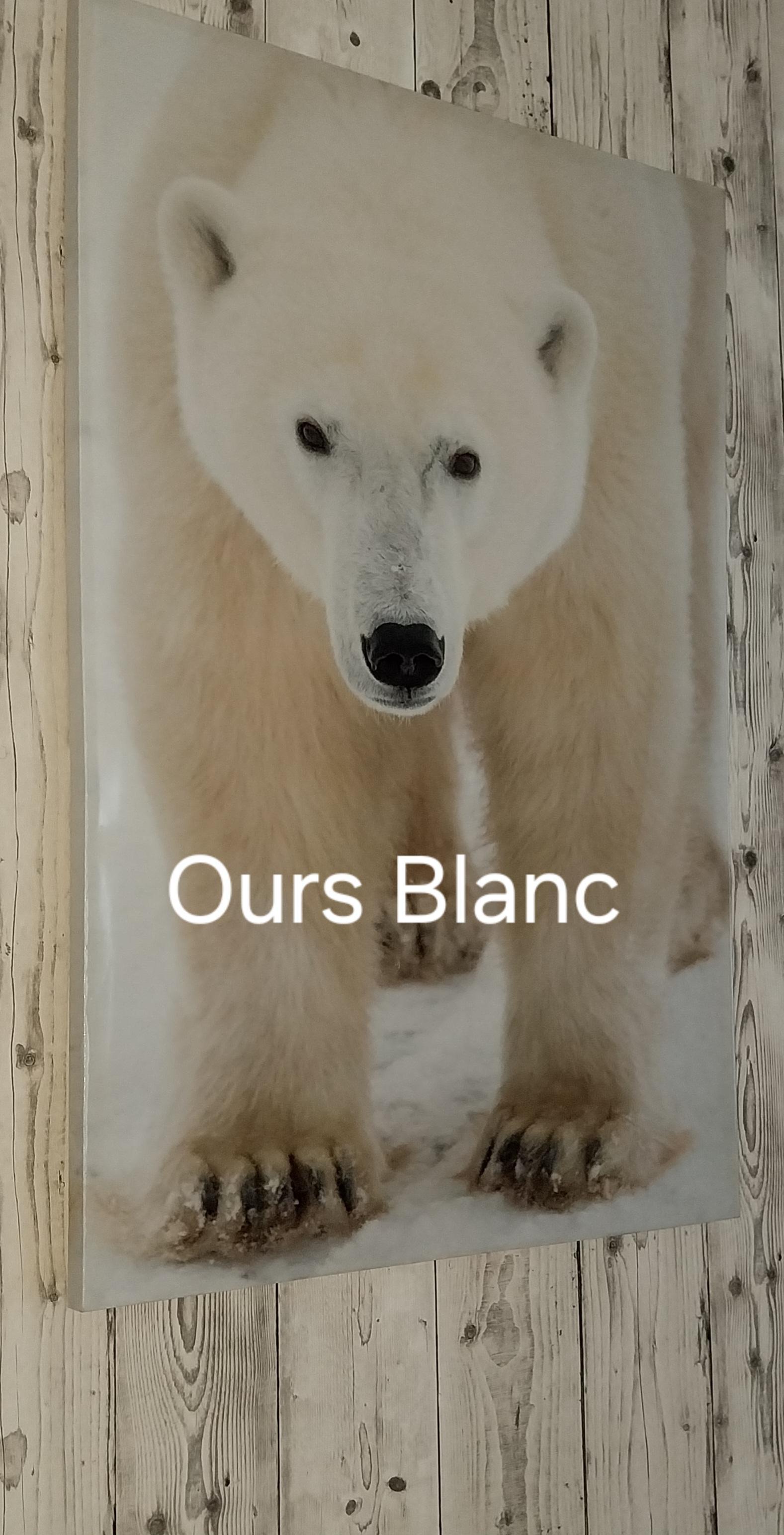 oursblanc75 Live Image