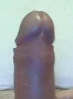 palbri22 Live Image