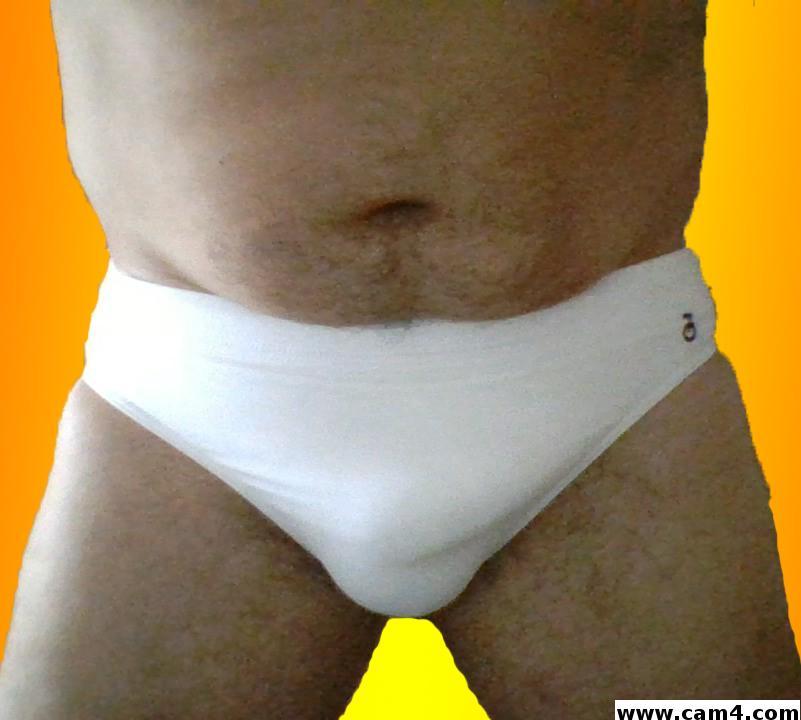 pongibear Live Image