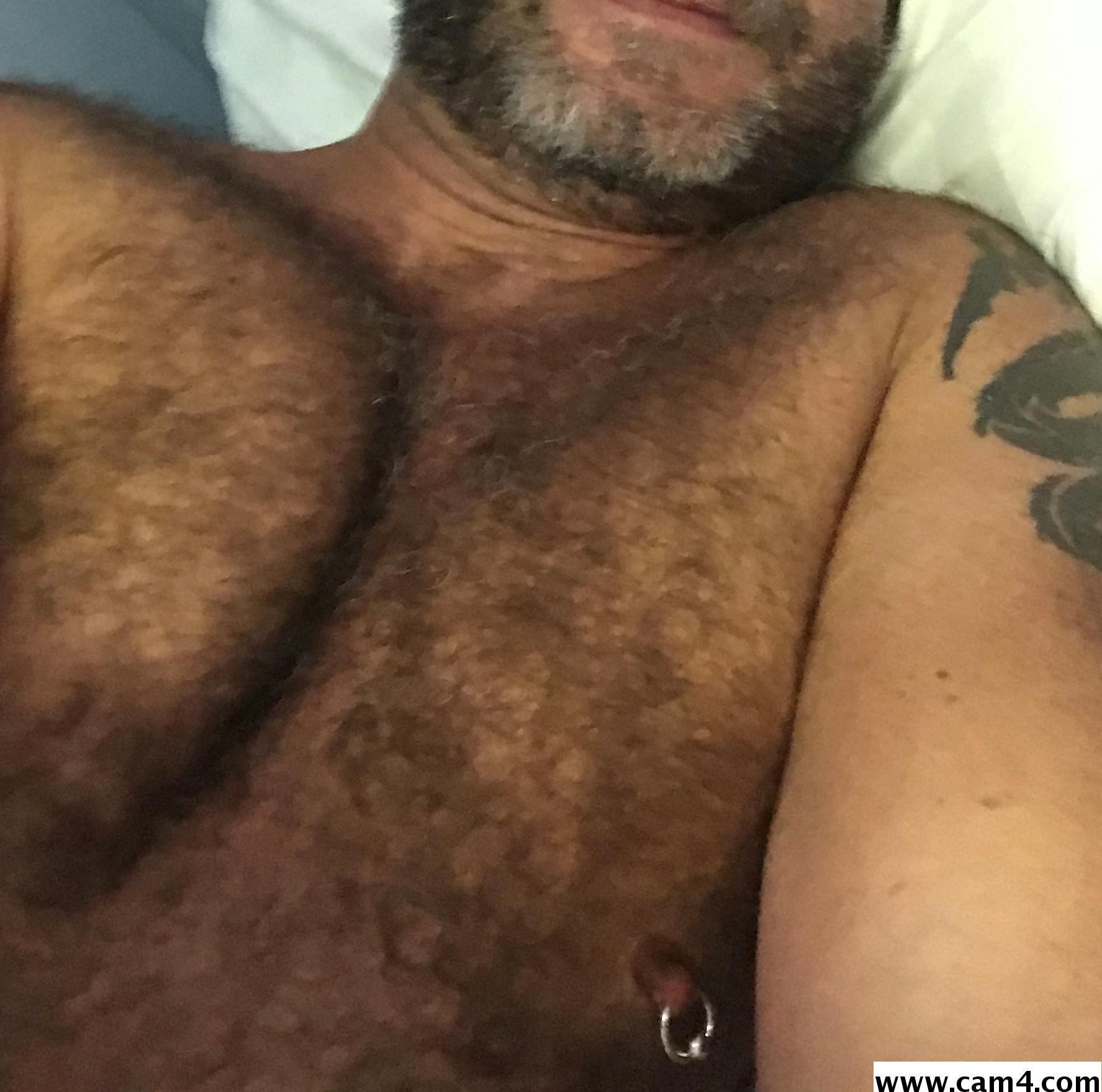 ptibear1 Live Image