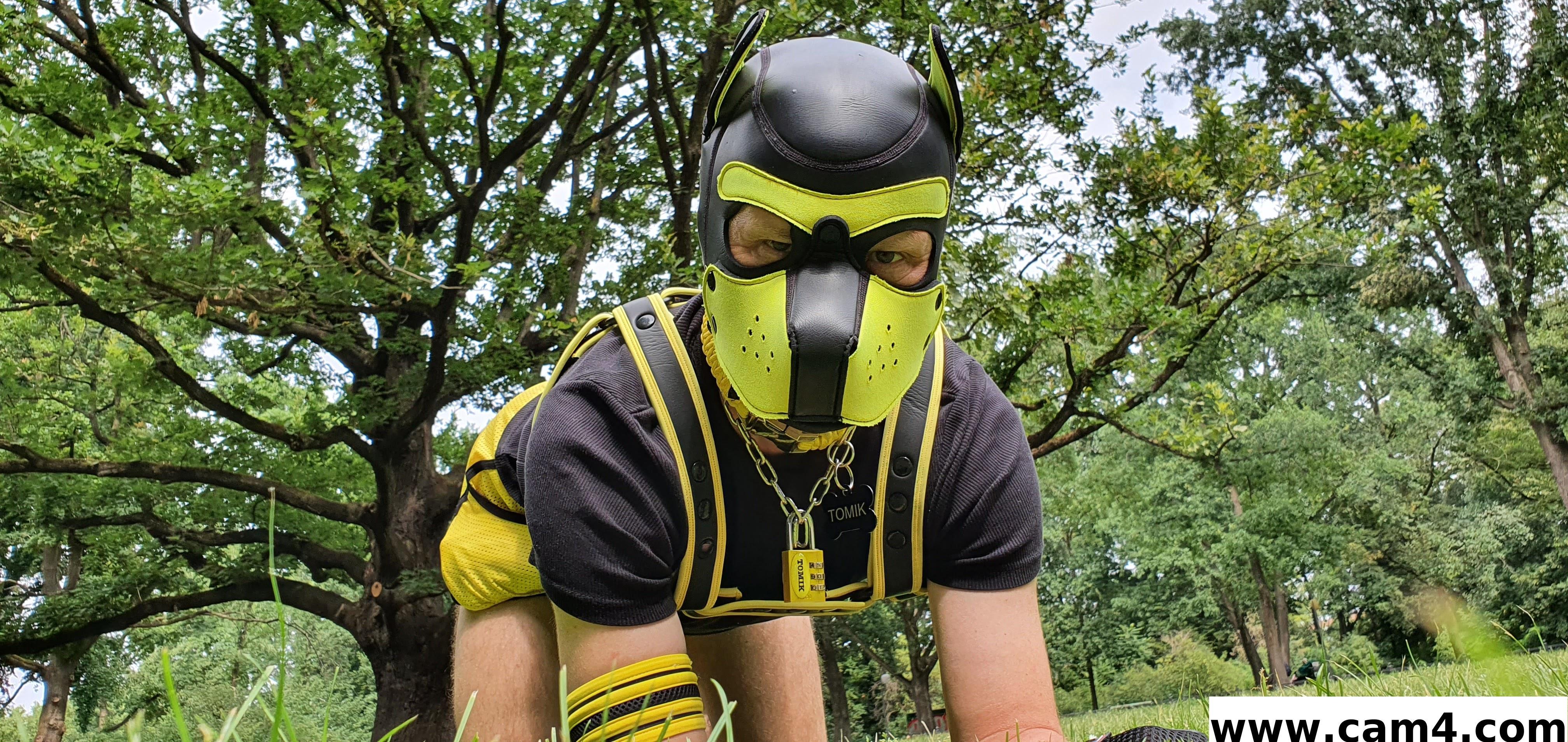 puppy_tomik