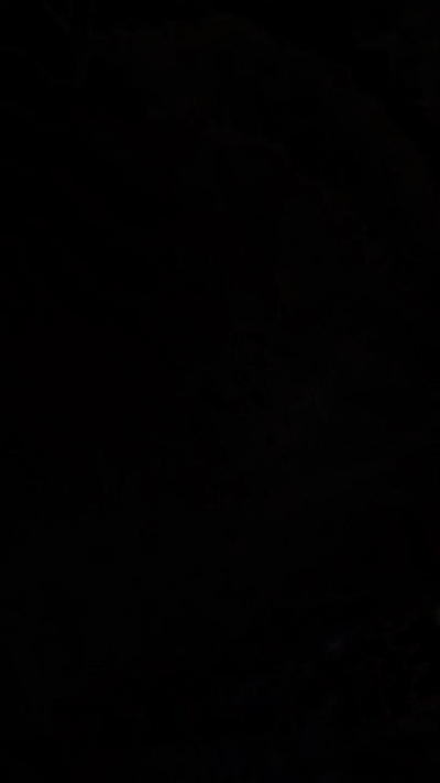 toylokazo4 Live Image