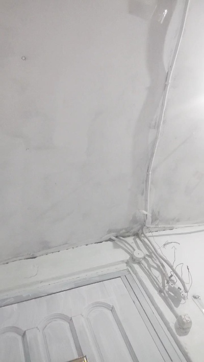 Braidqueen live from Chile