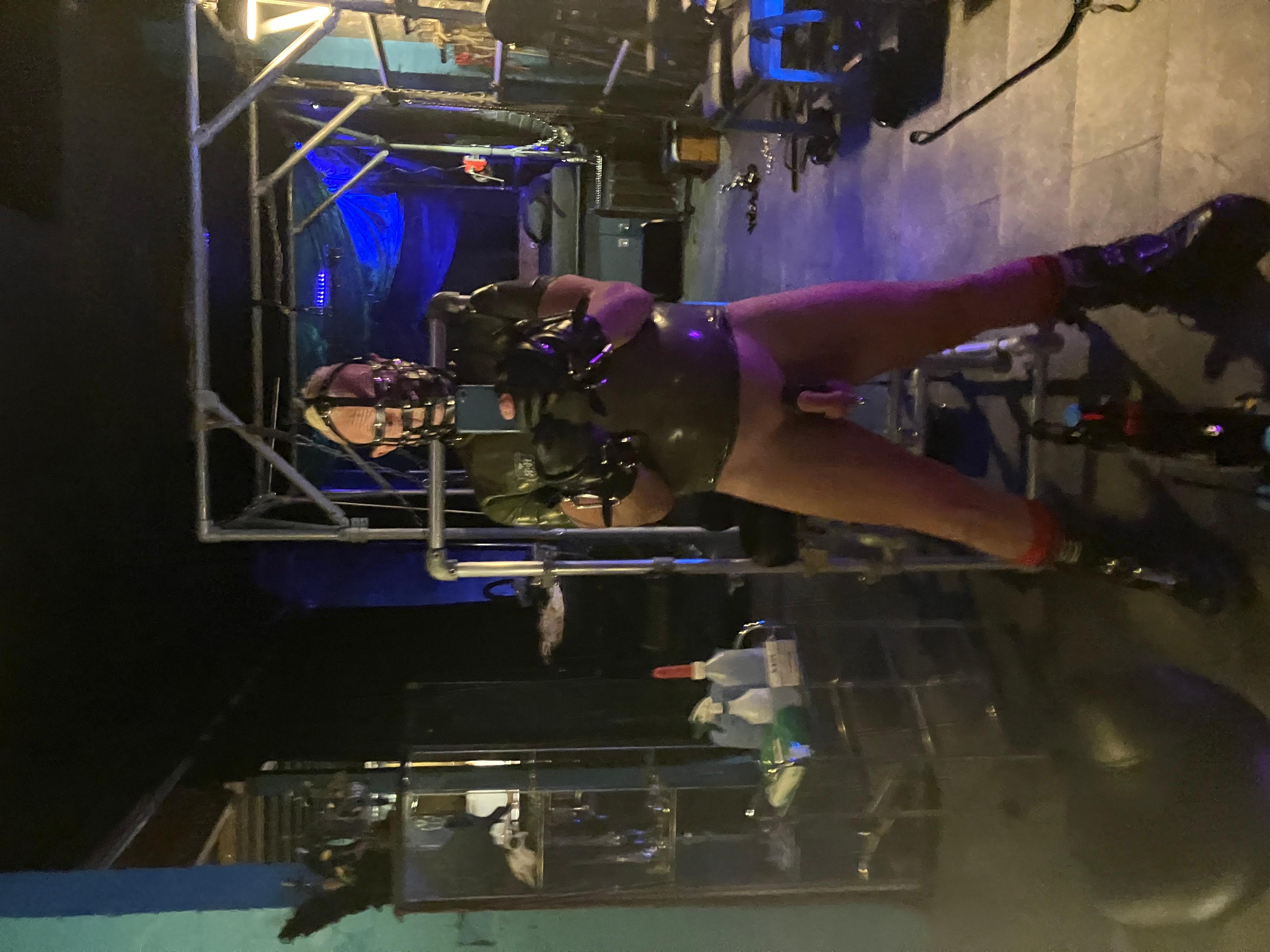 CUMPIGS1 live from United Kingdom